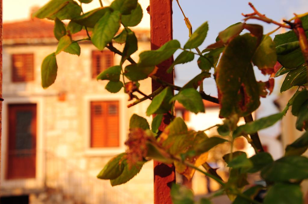 Nebojsega B&B Santa Croce Mare Luaran gambar